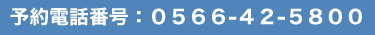 鈴木糖尿病内科への予約電話番号、0566-42-5800
